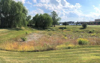 Dry Detention Ponds - Naturescaping by Texoma Excavation & Construction – Texomaland & North Texas