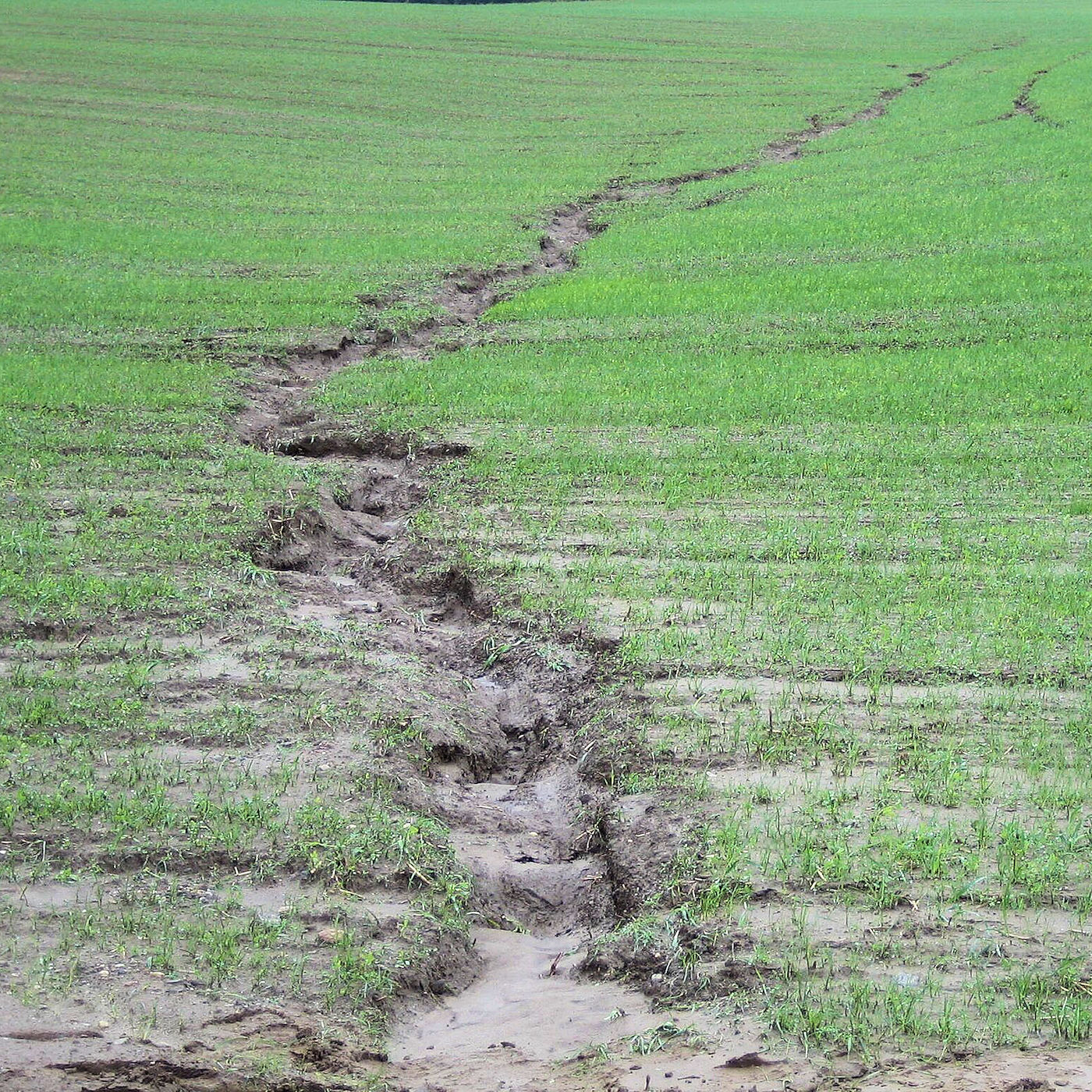 Bank Gully Erosion on Farmland – Texoma Excavation & Construction – Texomaland & North Texas Bank Gully Erosion on Farmland - Texoma Excavation & Construction – Texomaland & North Texas