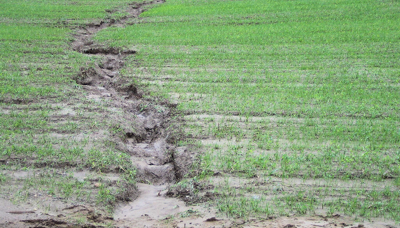 Bank Gully Erosion on Farmland – Texoma Excavation & Construction – Texomaland & North Texas Farm & Ranch Soil Erosion Restoration & Repair - Bank Gully Erosion on Farmland - Texoma Excavation & Construction – Texomaland & North Texas- Texoma Excavation & Construction – Texomaland & North Texas