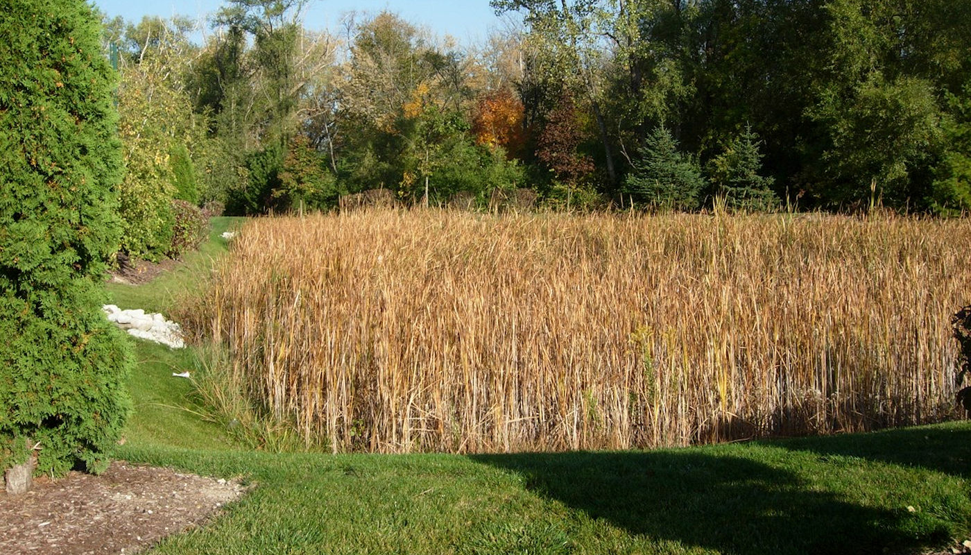 Dry Detention Ponds - Naturescaping by Texoma Excavation & Construction – Texomaland & North Texas