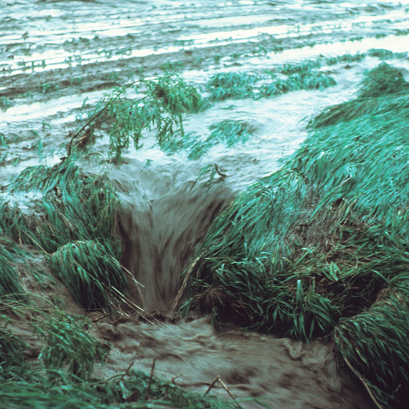 Bank Gully Erosion on Farmland – Texoma Excavation & Construction – Texomaland & North Texas Bank Gully Erosion on Farmland - Texoma Excavation & Construction – Texomaland & North Texas
