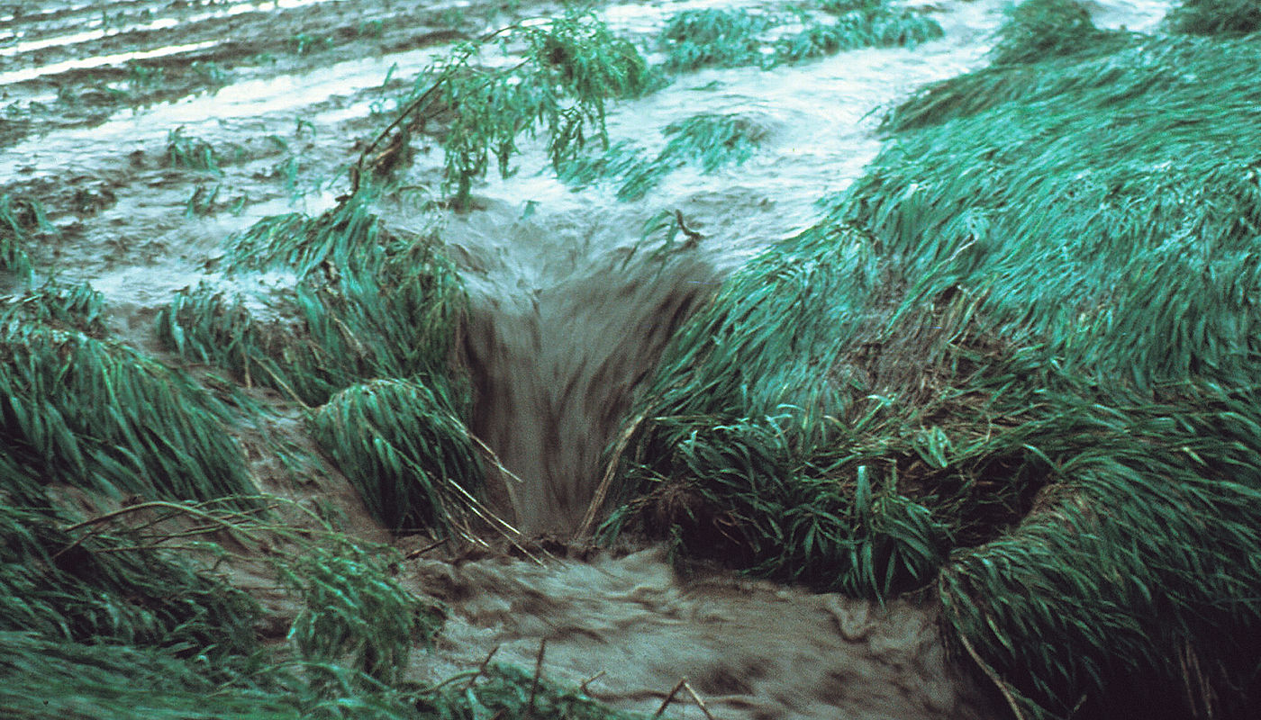 Bank Gully Erosion on Farmland – Texoma Excavation & Construction – Texomaland & North Texas Bank Gully Erosion on Farmland - Texoma Excavation & Construction – Texomaland & North Texas
