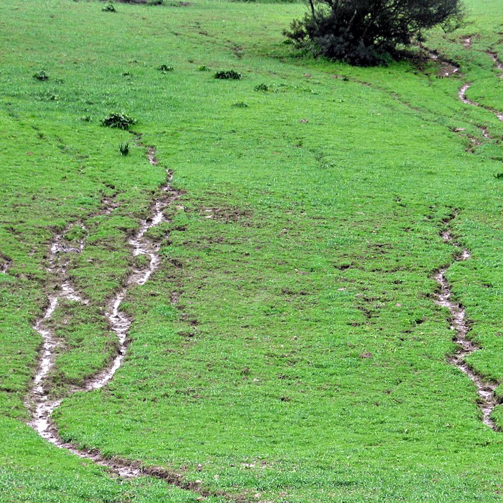 Rill Erosion – Texoma Excavation & Construction – Texomaland & North Texas Rill Erosion - Texoma Excavation & Construction – Texomaland & North Texas