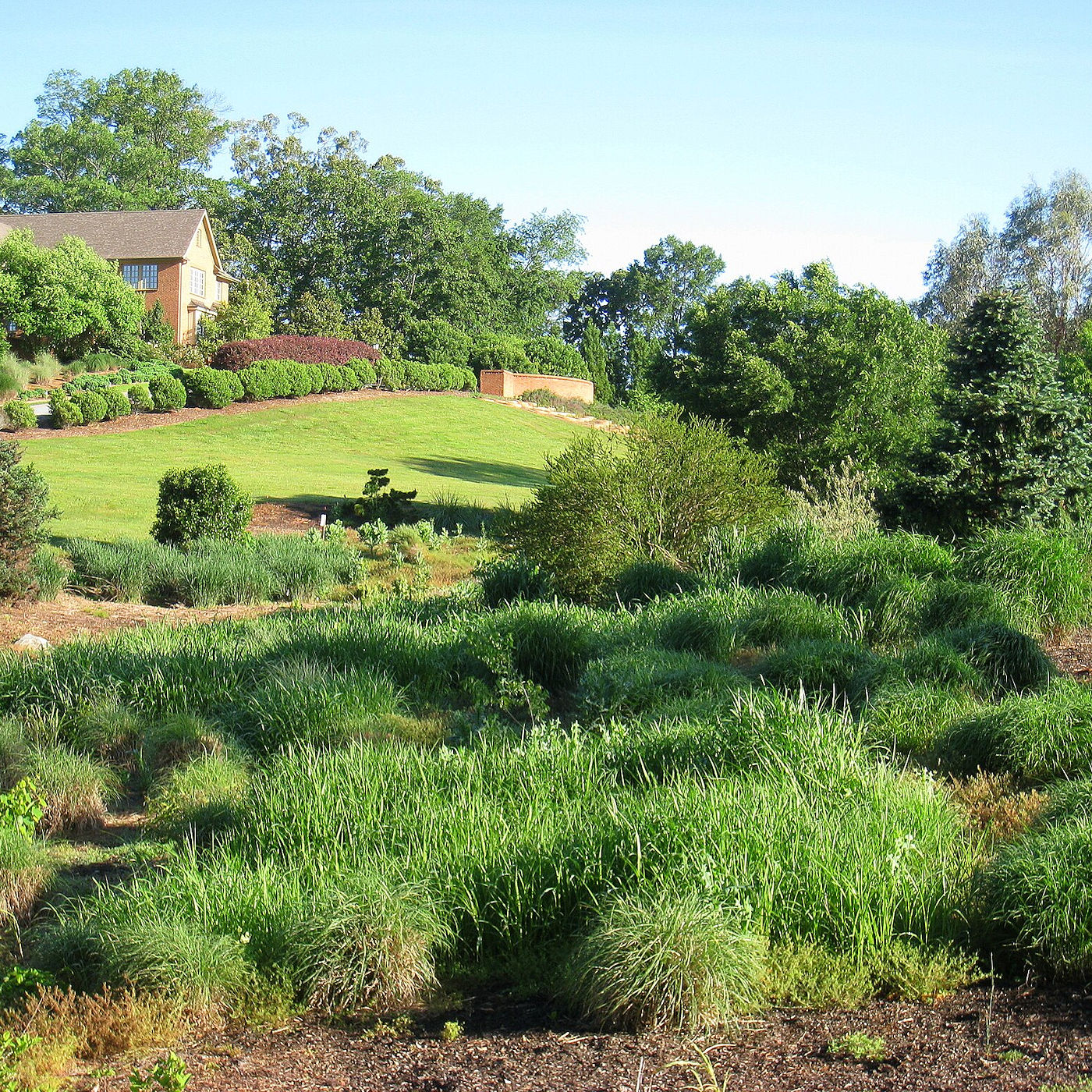 Add a Rain Garden for Drainage Control & Landscaping Beauty – Texomaland & North Texas