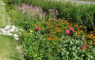 Bioswale Stormwater Management - Naturescape Rainscaping by Texoma Excavation & Construction – Texomaland & North Texas