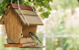 Creating Wildlife Habitat in Your Landscape -Naturescaping from Texoma Excavation & Construction