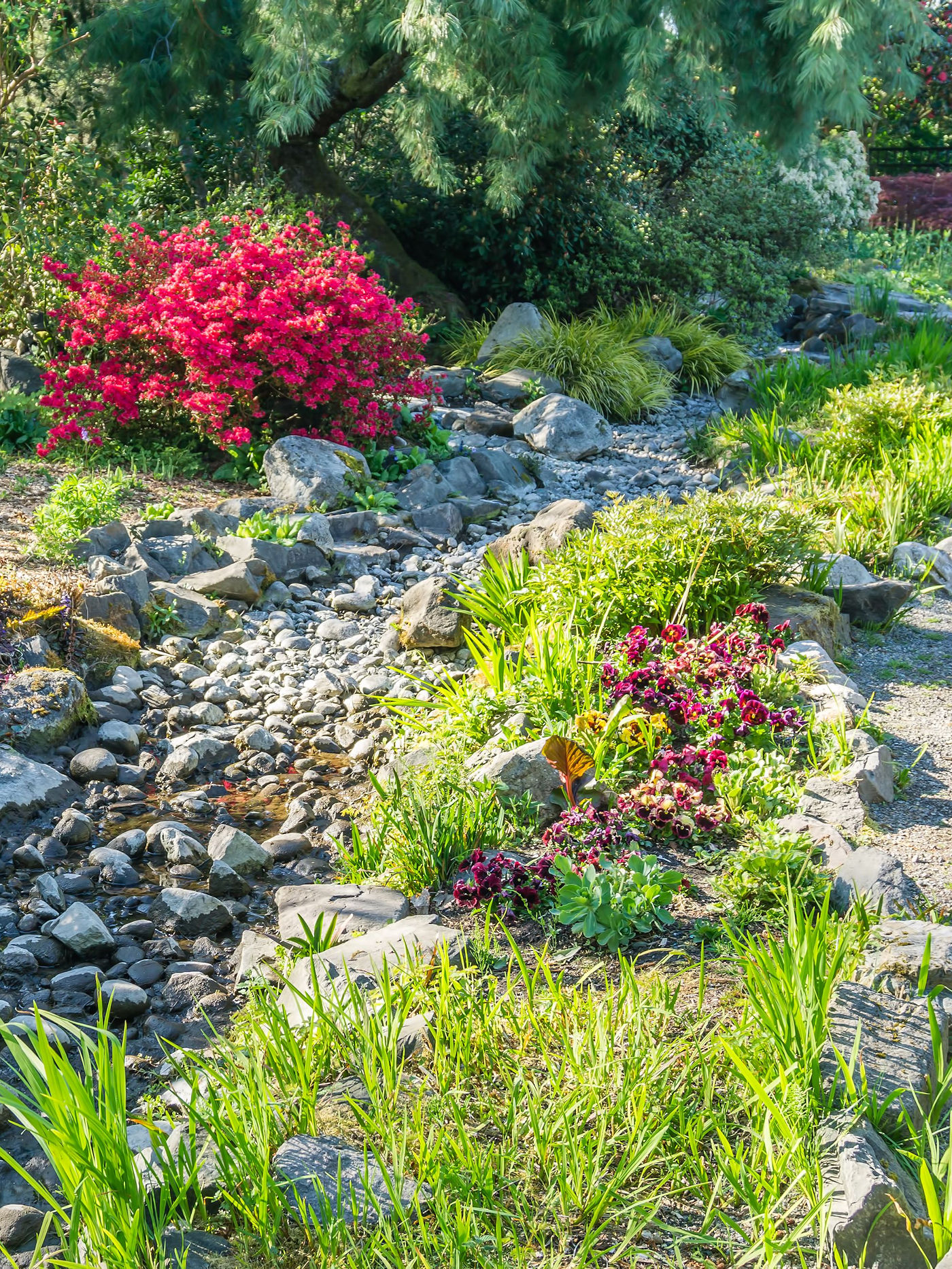Dry Creek Bed Landscaping for Drainage – Texomaland & North Texas