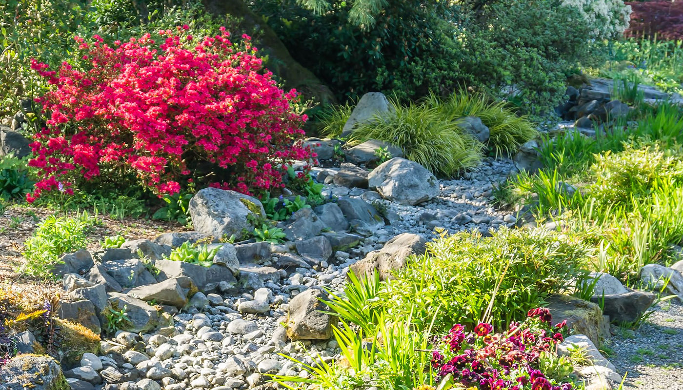 Dry Creek Bed Landscaping for Drainage – Texomaland & North Texas