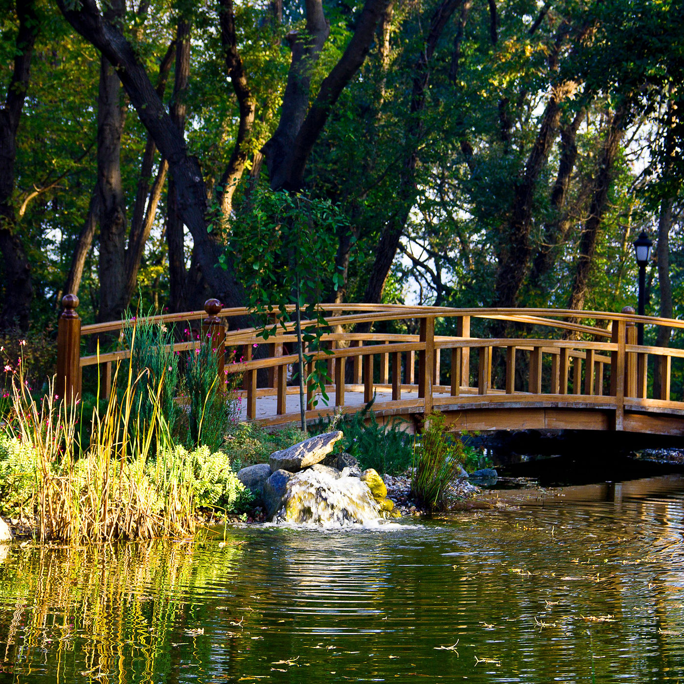 Texoma Excavation & Construction provides Naturescape Landscaping services that will enhance the wildlife habitat features of their property. Texoma Excavation & Construction provides Naturescape Landscaping services that will enhance the wildlife habitat features of their property.