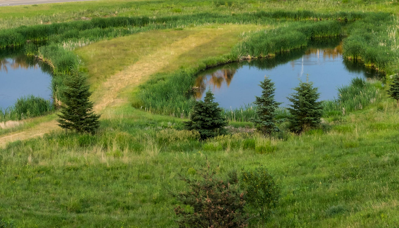 Texoma Excavation & Construction provides Naturescape Landscaping services that will enhance the wildlife habitat features of their property. Wetlands Pond Building - Naturescape Landscaping - Texoma Excavation & Construction – Texomaland & North Texas