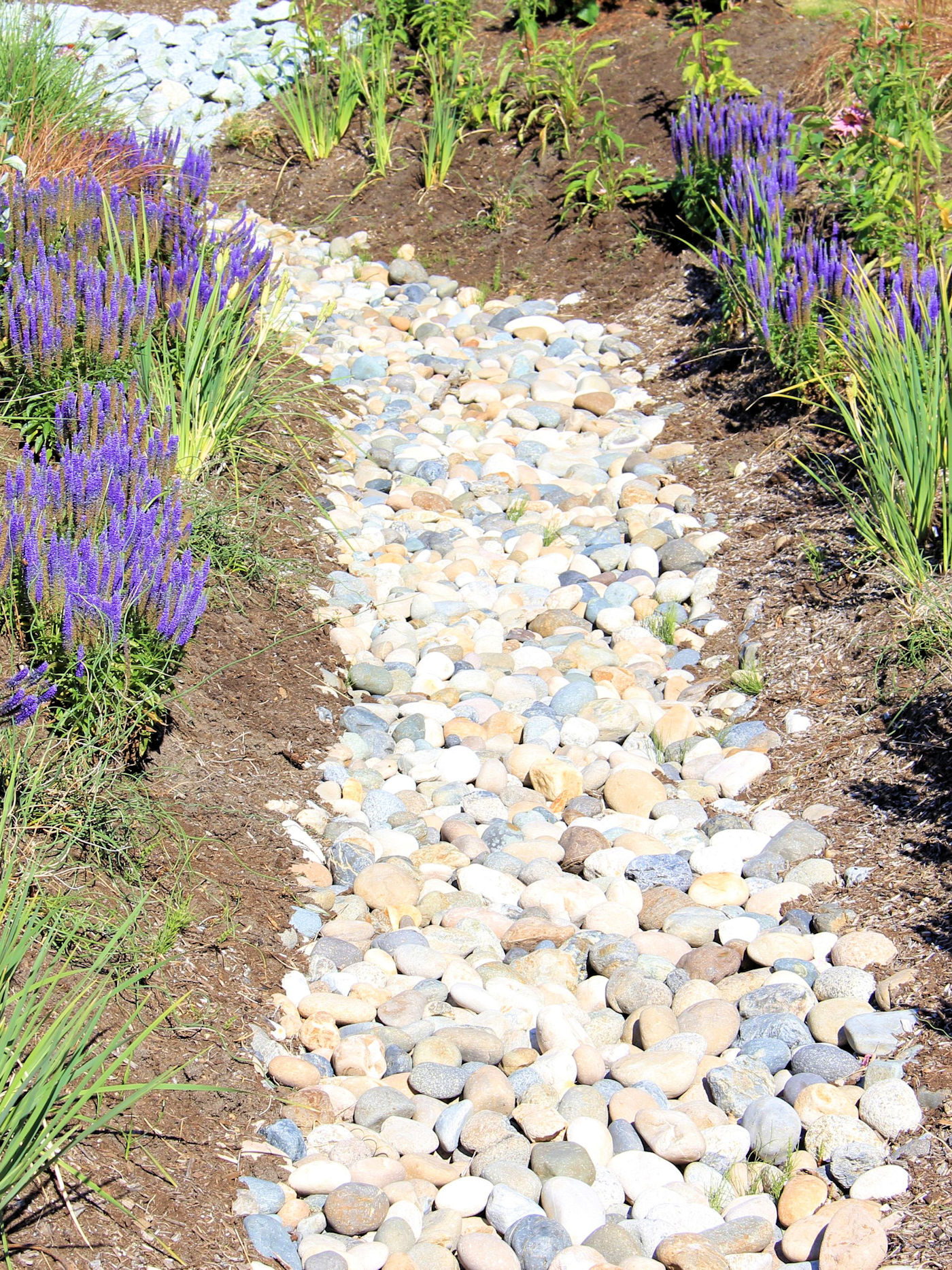 Landscape Grading & Drainage Services from Texoma Excavation & Construction