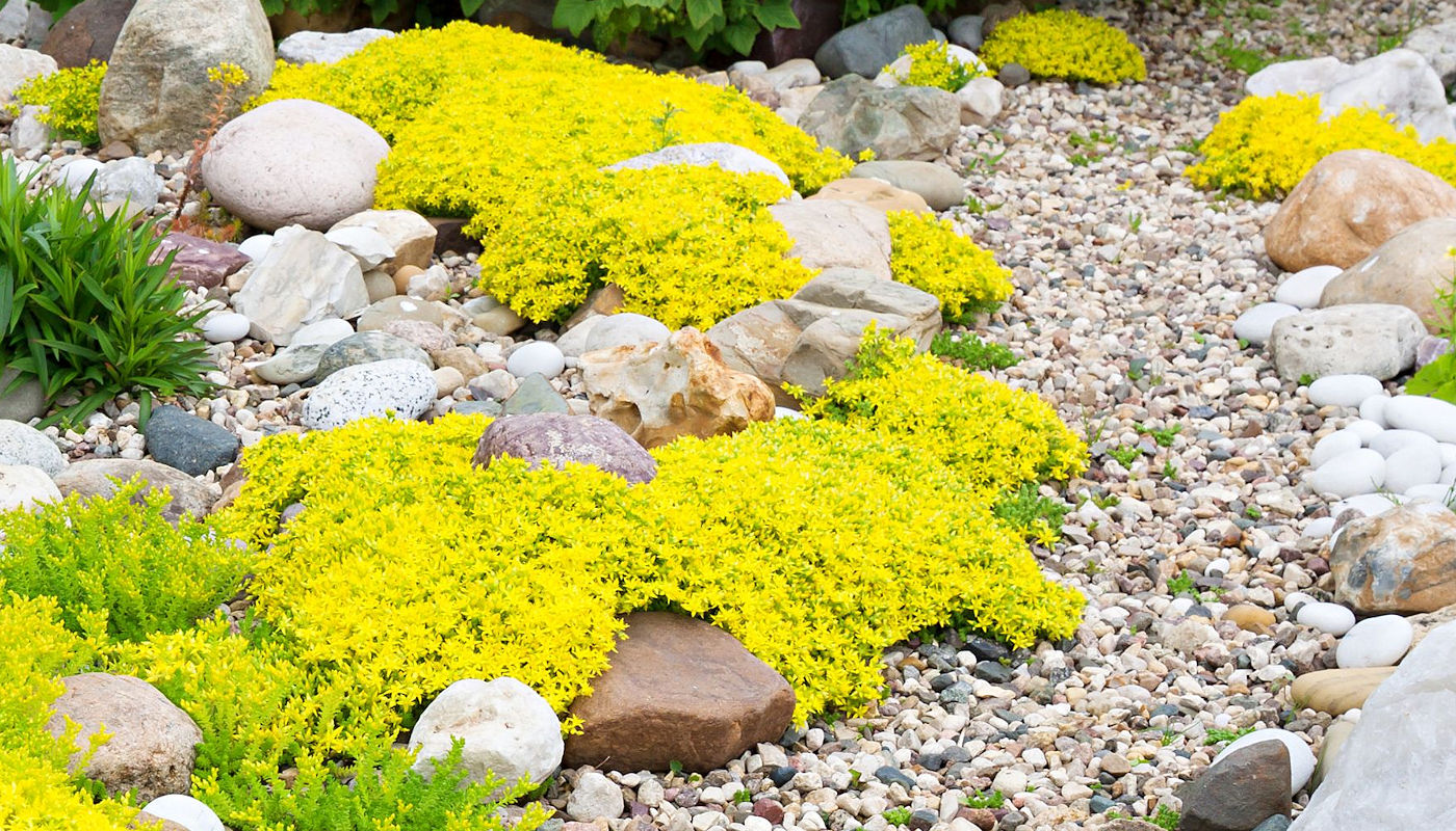 Where should water flowing through a dry creek bed when be terminated? – Texoma Excavation & Construction