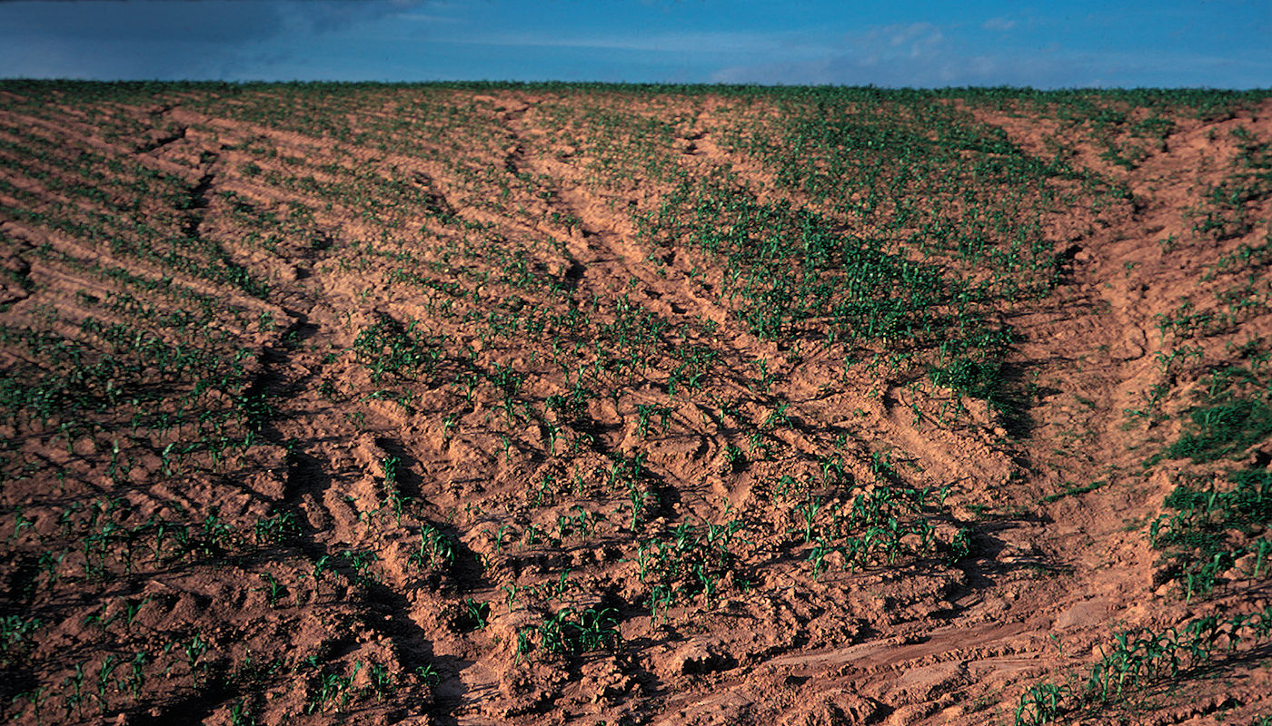 Gully & Rill Erosion – Texoma Excavation & Construction – Texomaland & North Texas Factors Causing Gully Erosion on Ranches & Farms - Texoma Excavation & Construction – Texomaland & North Texas