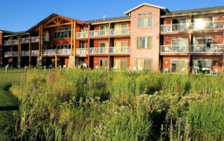Add a Rain Garden for Drainage Control & Landscaping Beauty – Texomaland & North Texas