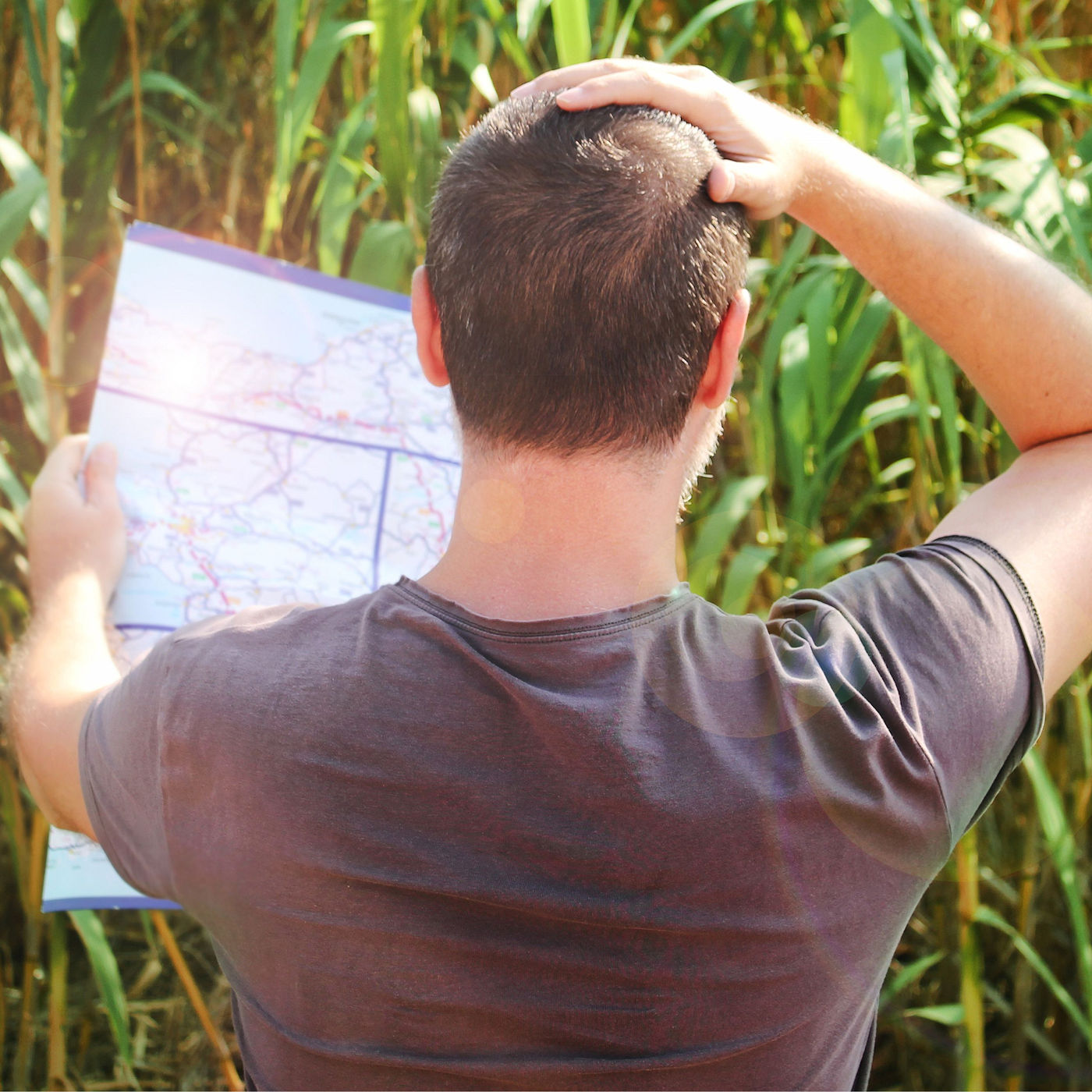 Common mistakes in building a stormwater wetland - Texoma Excavation & Construction – Texomaland & North Texas