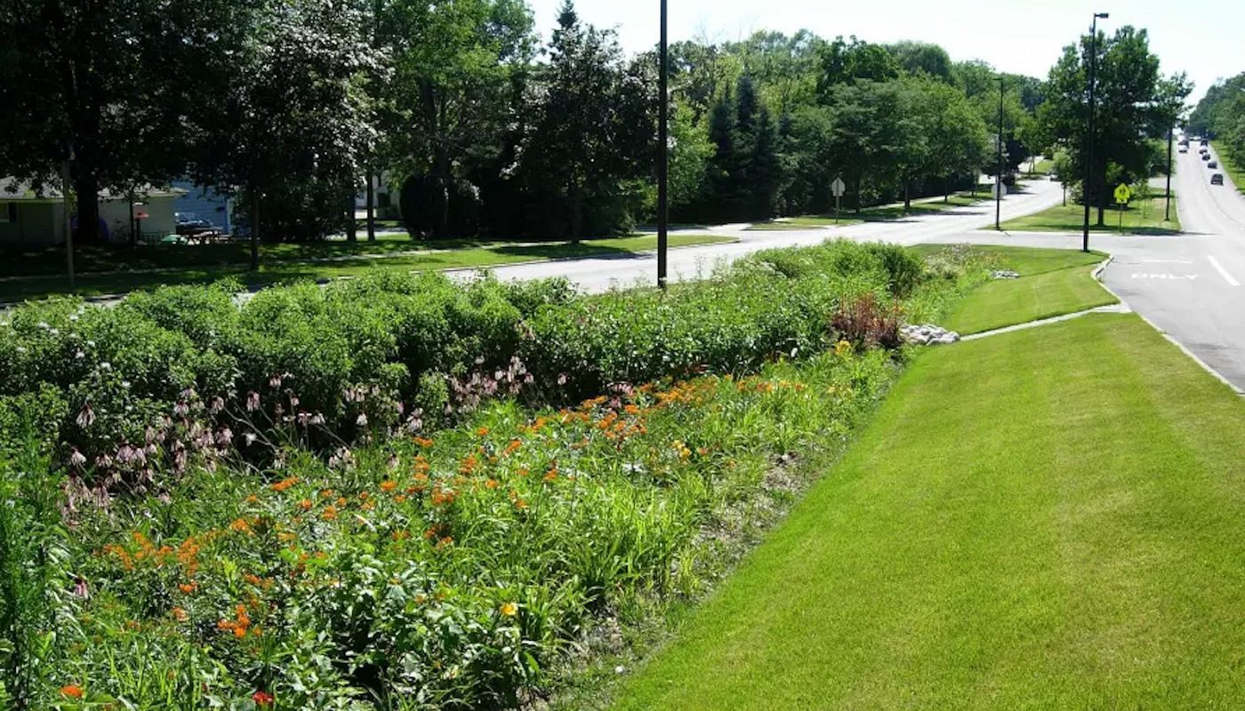 Add a Rain Garden for Drainage Control & Landscaping Beauty – Texomaland & North Texas