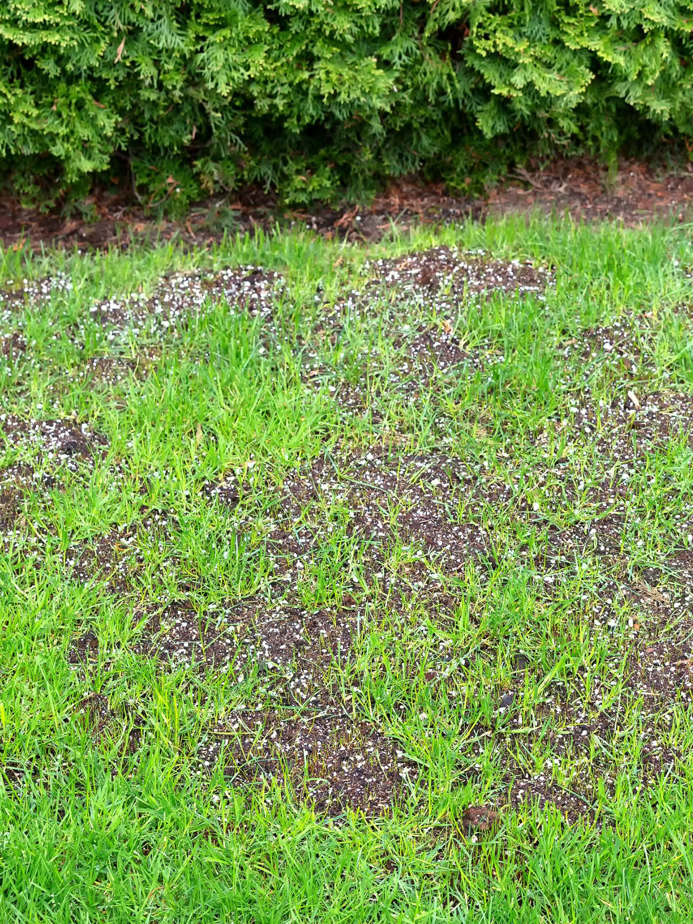 Splash Erosion – It all begins with a raindrop – Types of Erosion – Drainage control information from Texoma Excavation & Construction Splash Erosion - It all begins with a raindrop - Types of Erosion - Drainage control information from Texoma Excavation & Construction