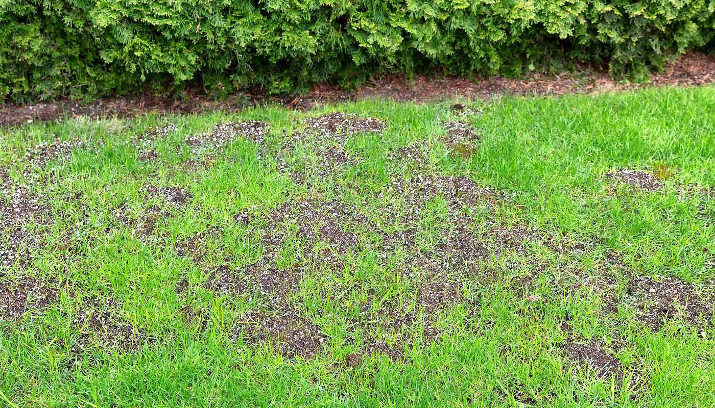 Splash Erosion – It all begins with a raindrop – Types of Erosion – Drainage control information from Texoma Excavation & Construction Splash Erosion - It all begins with a raindrop - Types of Erosion - Drainage control information from Texoma Excavation & Construction