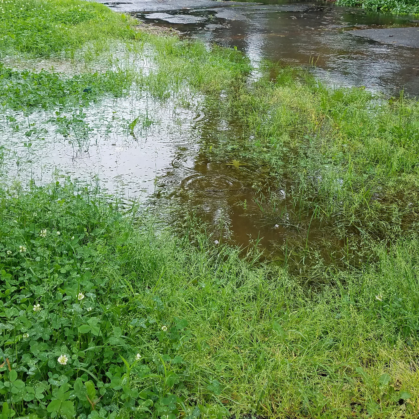 Warning signs of drainage problems – Texoma Excavation & Construction Warning signs of drainage problems - Texoma Excavation & Construction