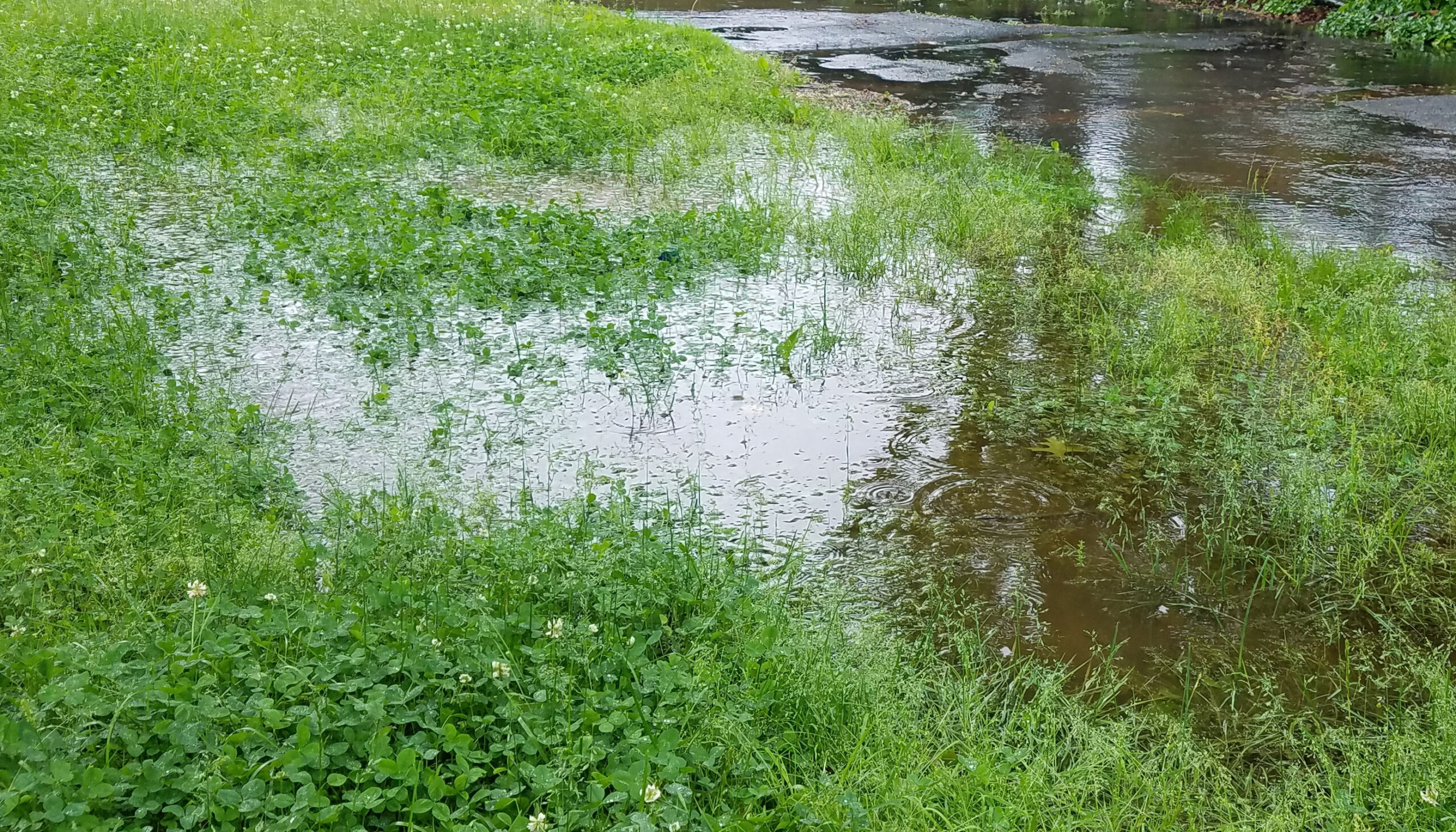 Warning signs of drainage problems – Texoma Excavation & Construction Warning signs of drainage problems - Texoma Excavation & Construction