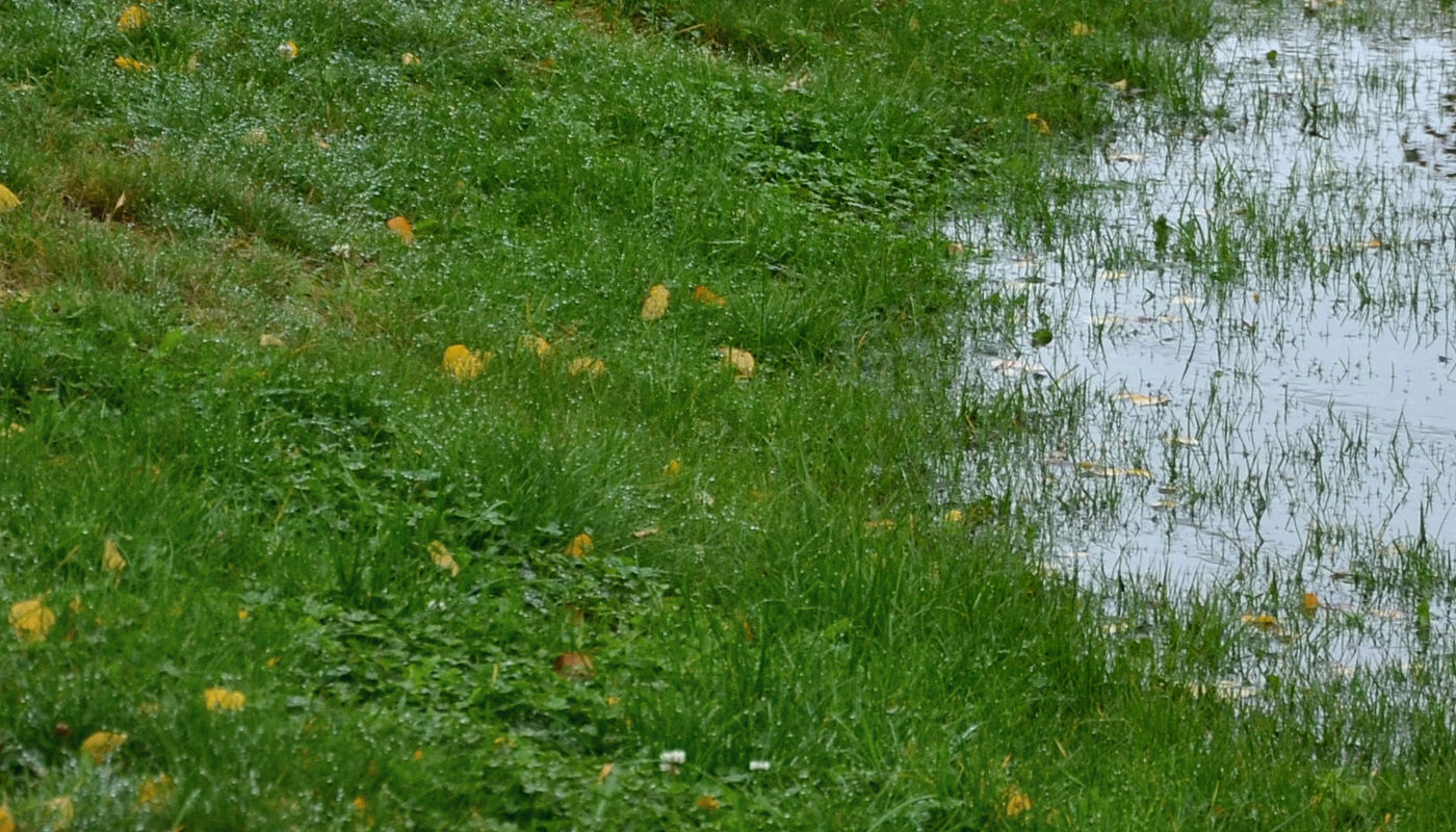Warning signs of drainage problems - Texoma Excavation & Construction