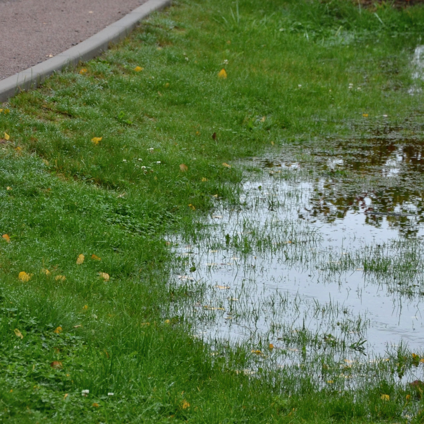 Warning signs of drainage problems - Texoma Excavation & Construction