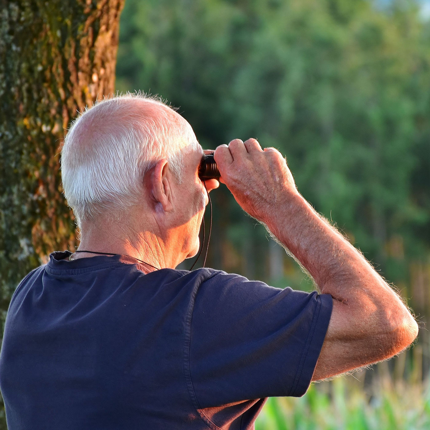 Benefit of Constructed Stormwater Wetland for Property Owners - Texoma Excavation & Construction – Texomaland & North Texas