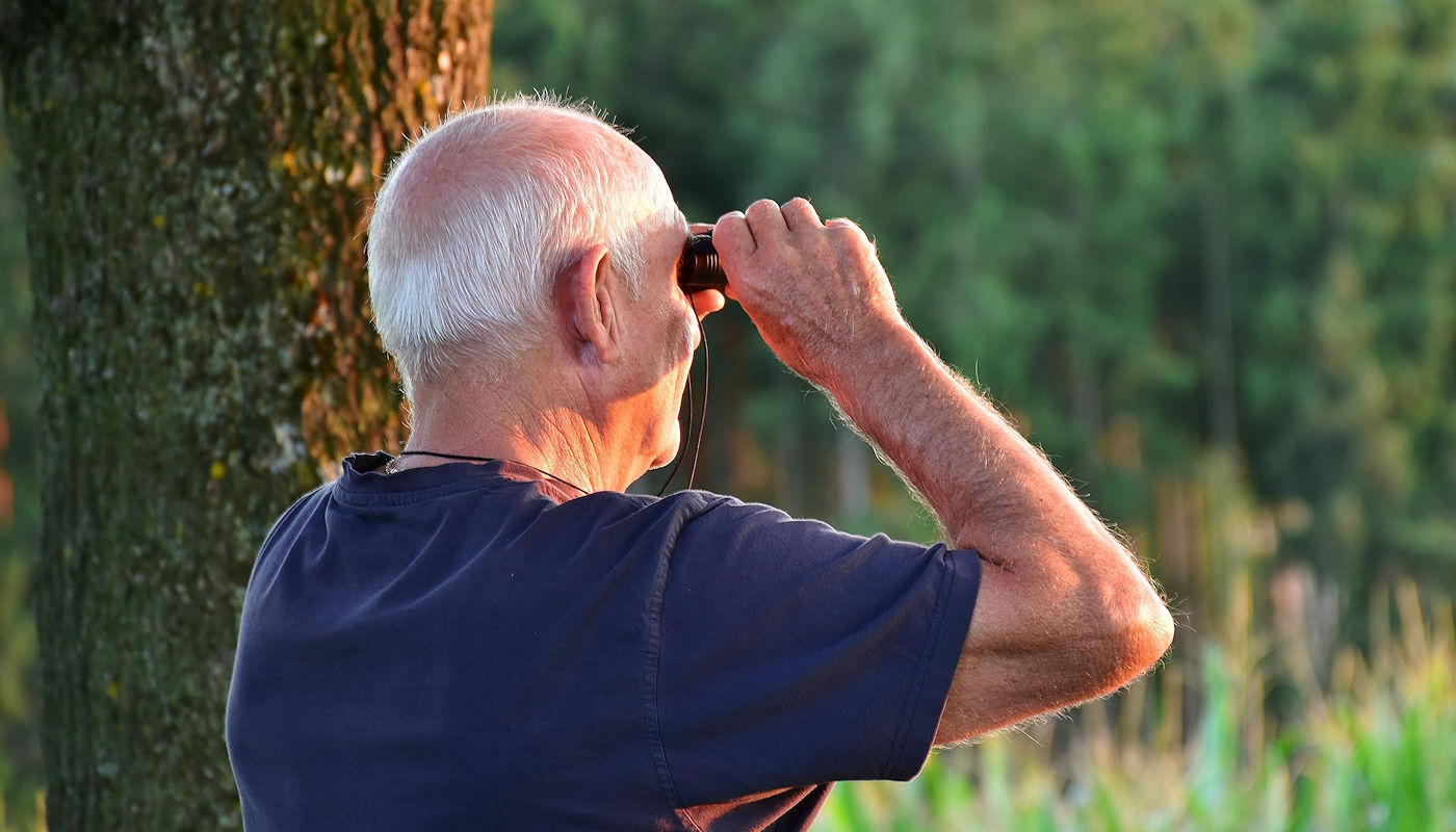 Benefit of Constructed Stormwater Wetland for Property Owners - Texoma Excavation & Construction – Texomaland & North Texas