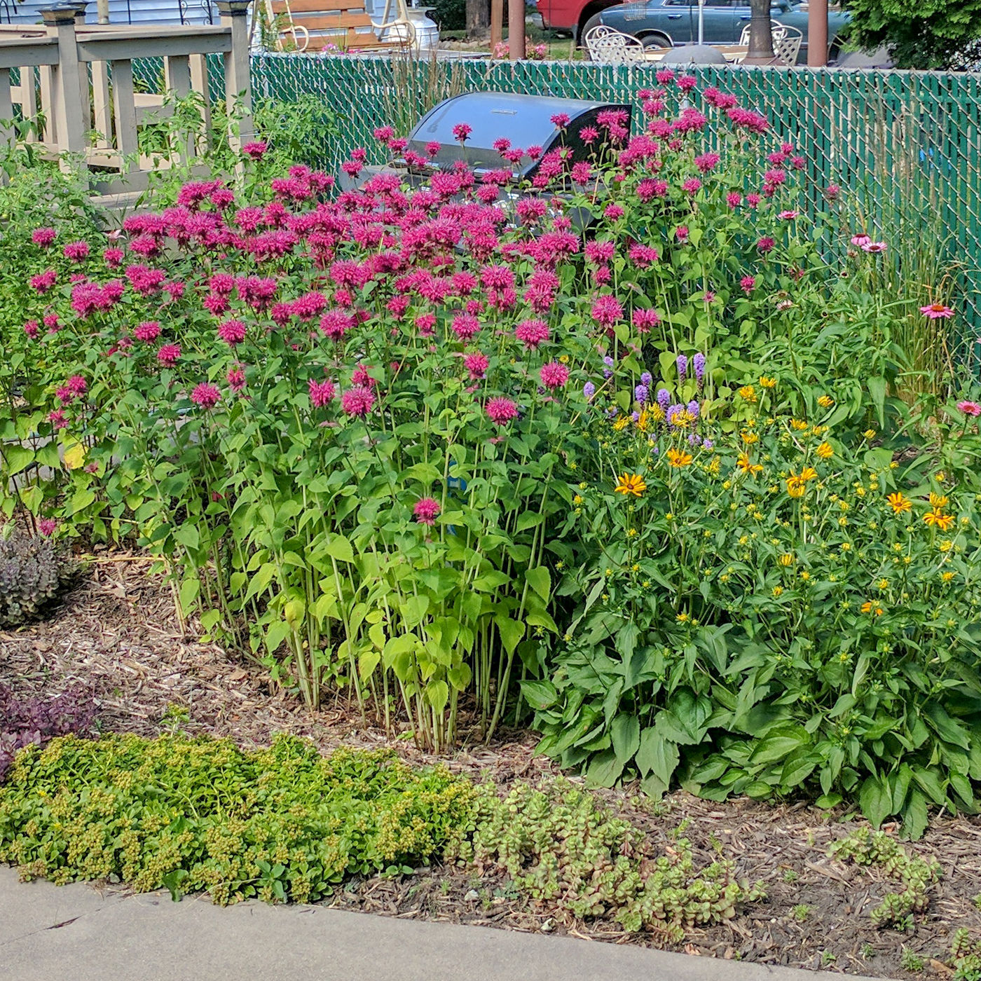 Rainscaping & Naturescaping services from Texoma Excavation & Construction Rainscaping & Naturescaping from Texoma Excavation & Construction