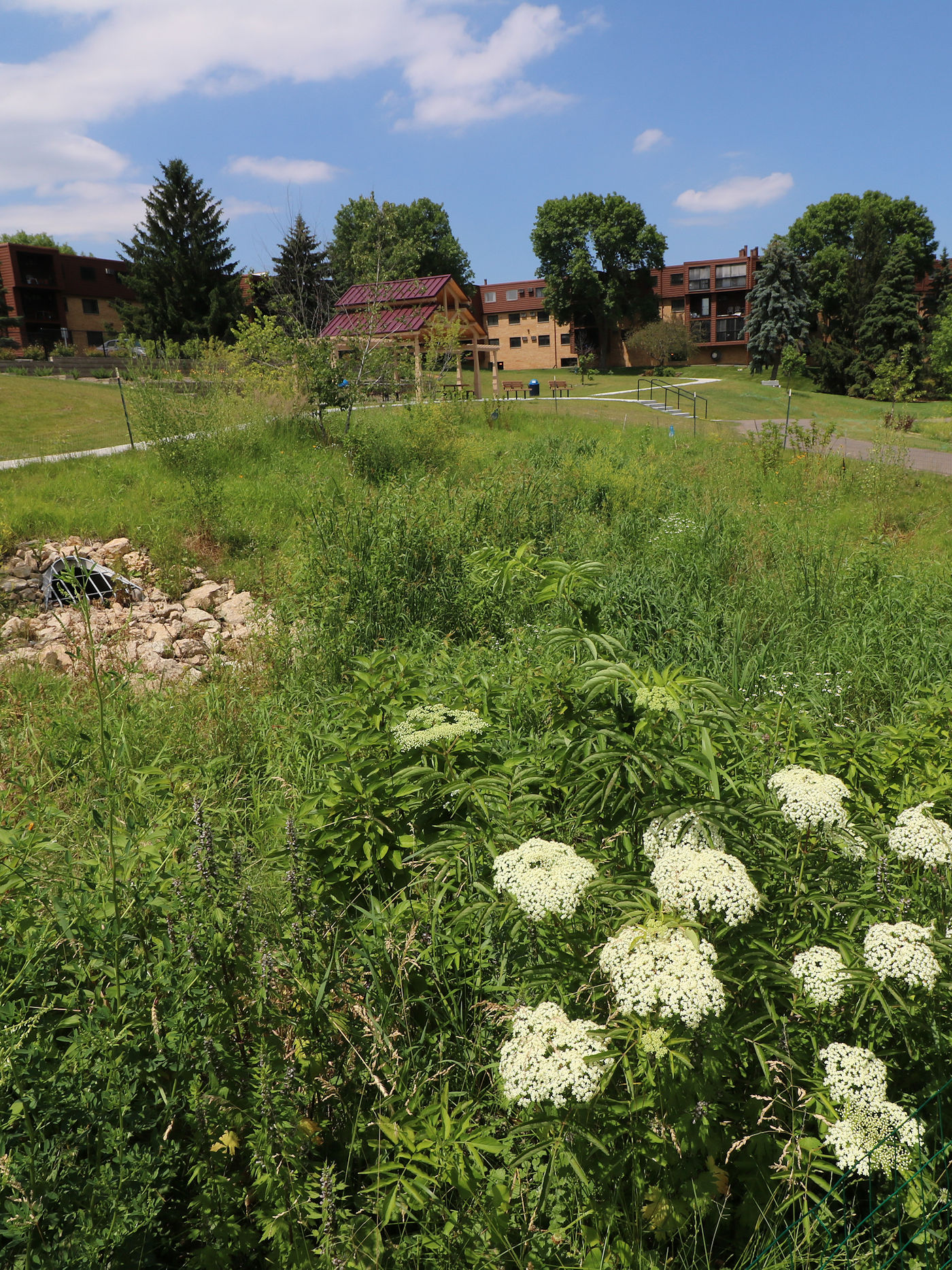 What is Rainscaping -Naturescaping from Texoma Excavation & Construction What is Rainscaping -Naturescaping from Texoma Excavation & Construction