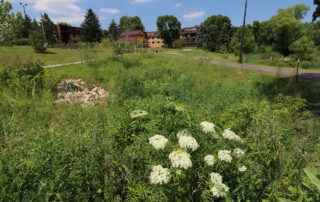 What is Rainscaping -Naturescaping from Texoma Excavation & Construction