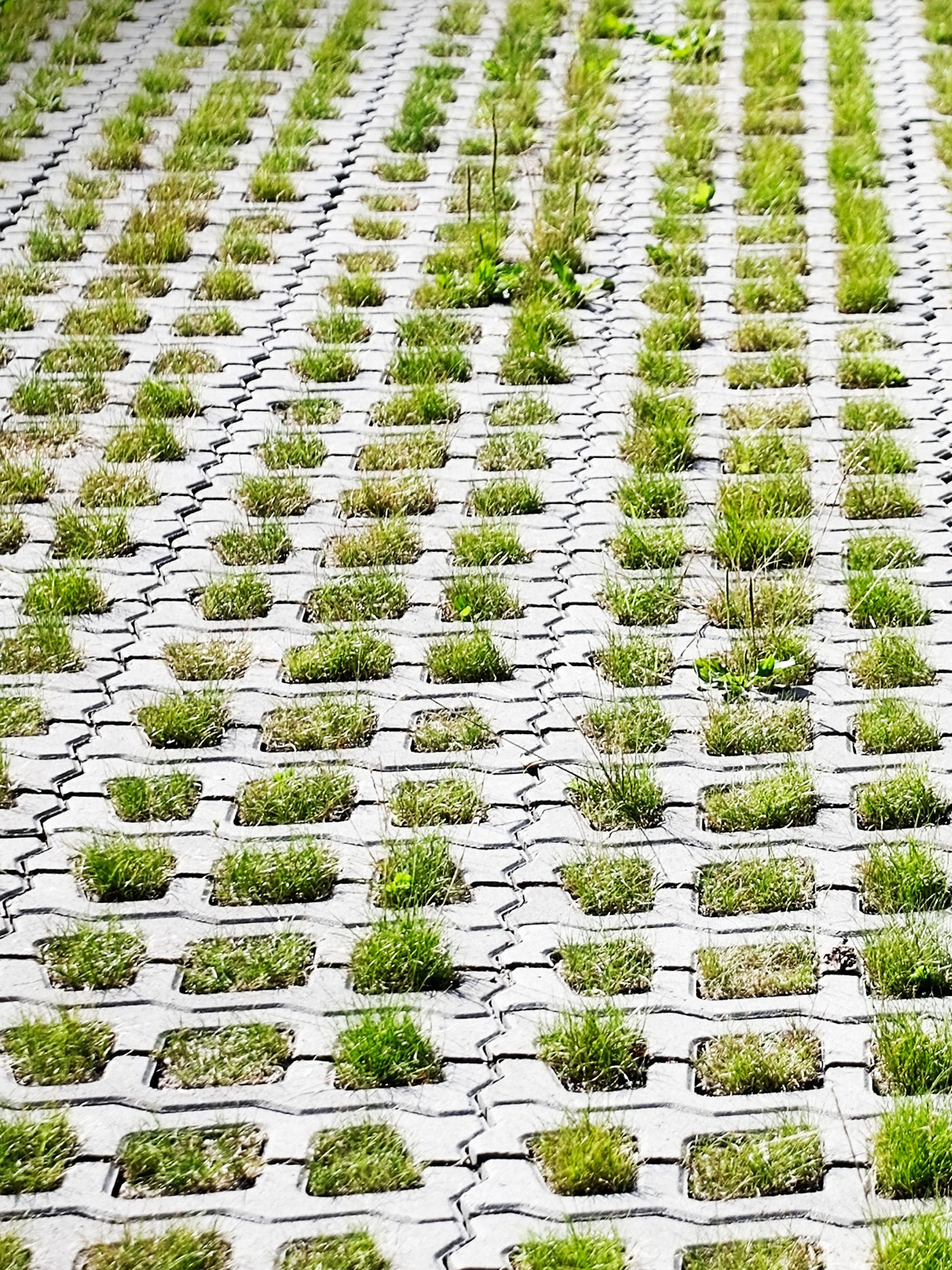 Using Permeable Pavements to Reduce Stormwater Runoff from Hardscapes - Texoma Excavation & Construction