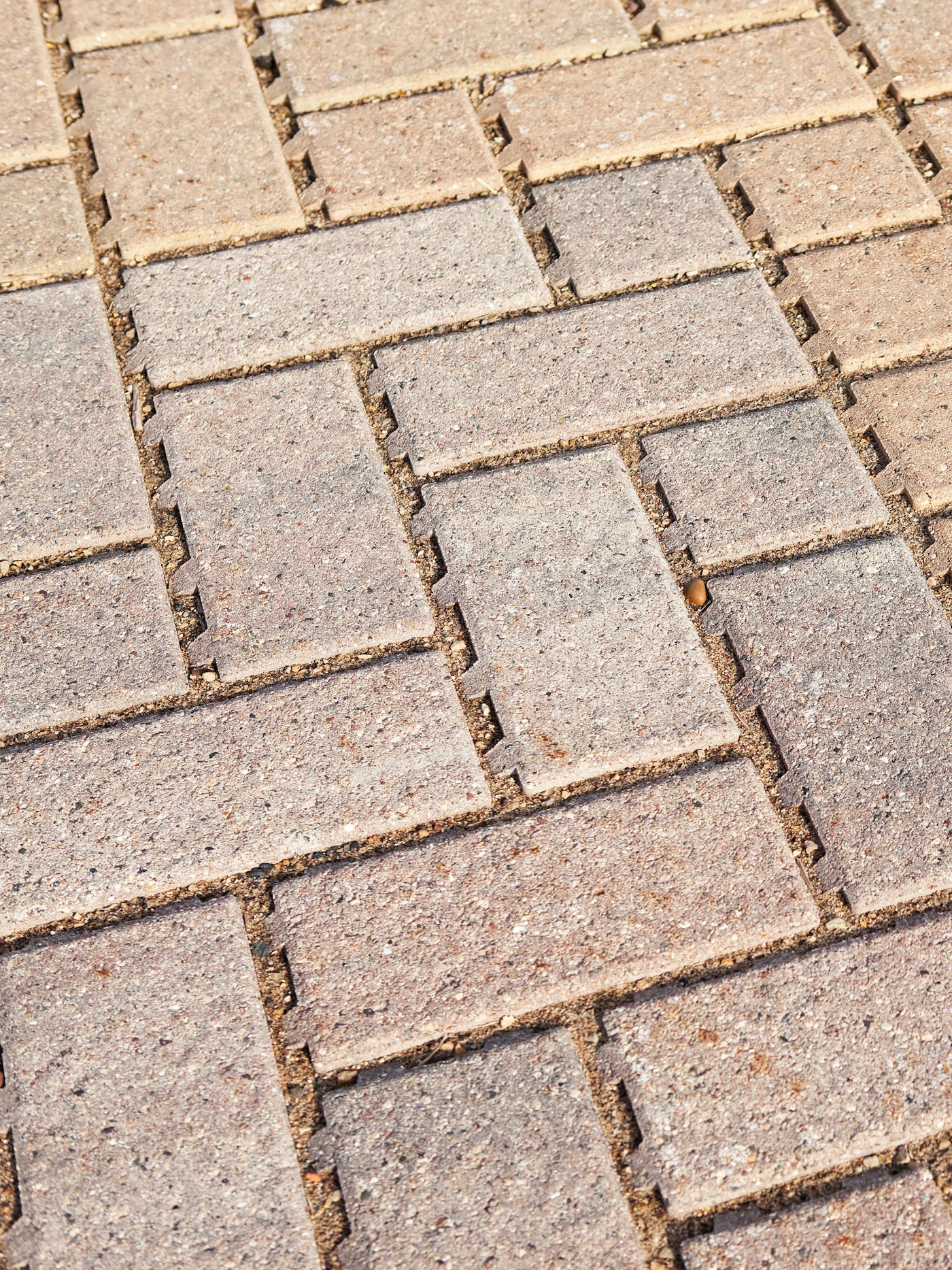 Using Permeable Pavements to Reduce Stormwater Runoff from Hardscapes - Texoma Excavation & Construction