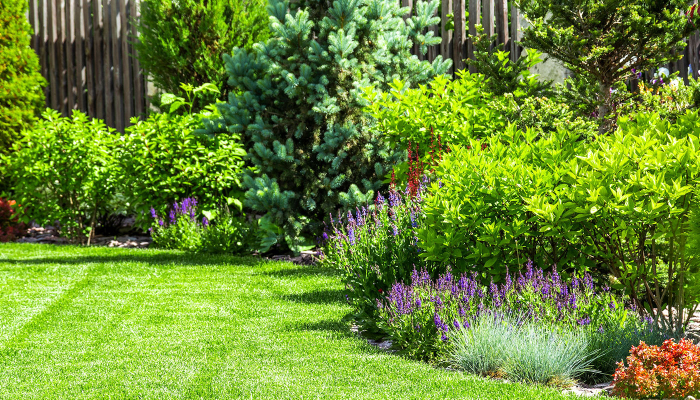 Cities with Rainscaping & Other Stormwater Control Programs from Texoma Excavation & Construction Cities with Rainscaping & Other Stormwater Control Programs from Texoma Excavation & Construction