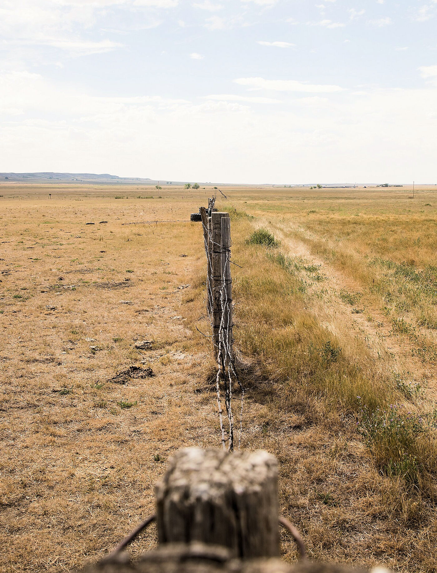 Farm & Ranch Soil Erosion Overgrazing Risk – Texoma Excavation & Construction – Texomaland & North Texas Farm & Ranch Soil Erosion Overgrazing Risk - Texoma Excavation & Construction – Texomaland & North Texas