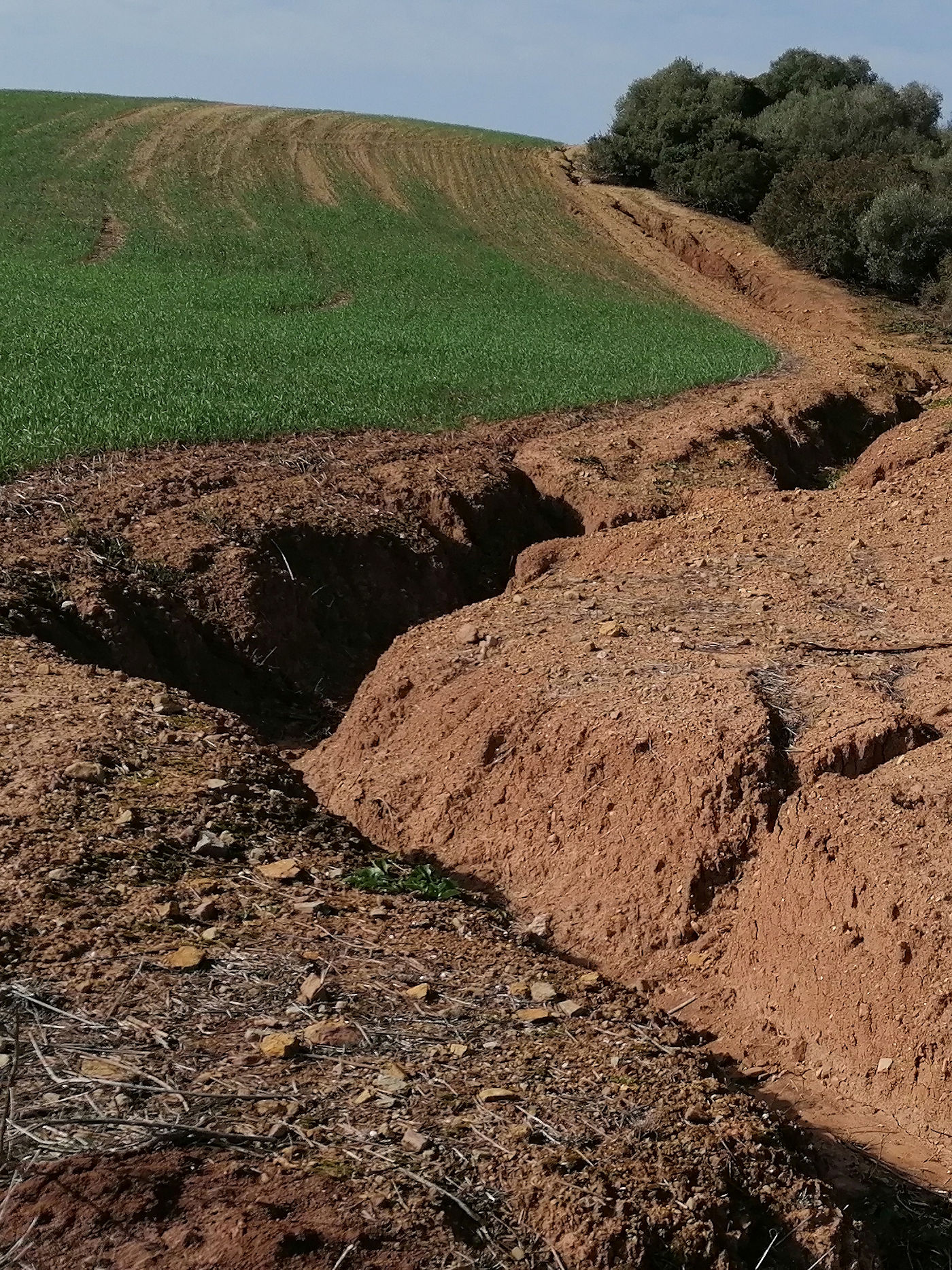 Gully Erosion – Texoma Excavation & Construction – Texomaland & North Texas Factors Causing Gully Erosion on Ranches & Farms - Texoma Excavation & Construction – Texomaland & North Texas