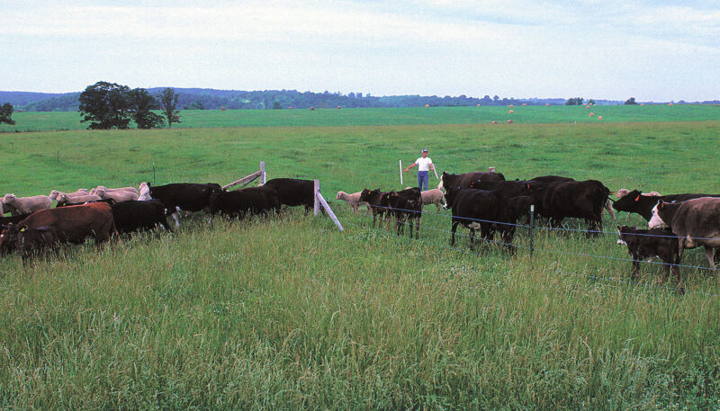 Grazing Process Soil Erosion Restoration & Repair: Farm & Ranch