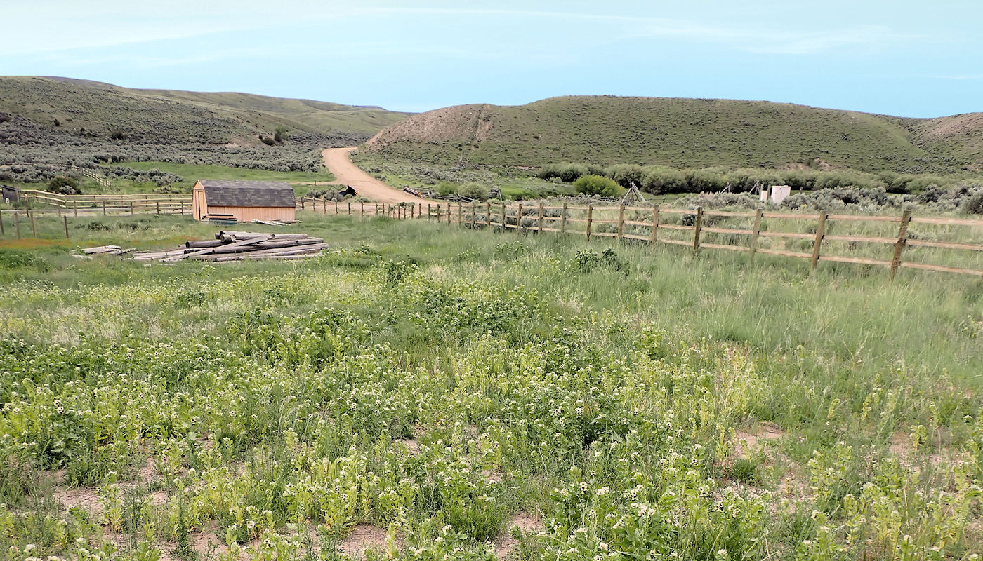 Farm & Ranch Soil Erosion Overgrazing Risk – Avoiding Shifts in Species Composition – Texoma Excavation & Construction – Texomaland & North Texas Farm & Ranch Soil Erosion Overgrazing Risk - Avoiding Shifts in Species Composition - Texoma Excavation & Construction – Texomaland & North Texas