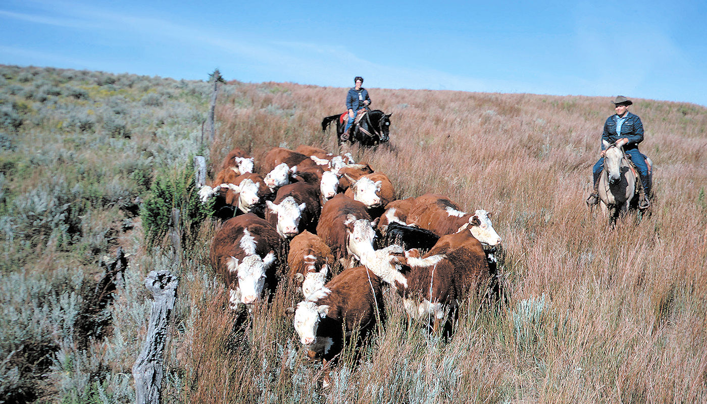 Farm & Ranch Soil Erosion Overgrazing Risk - Texoma Excavation & Construction – Texomaland & North Texas