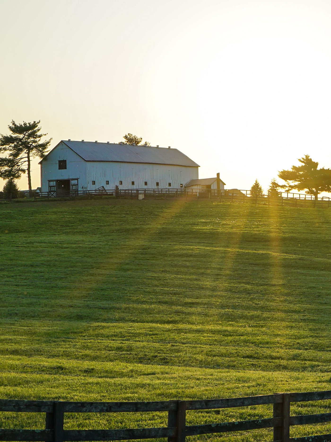 Farm & Ranch Soil Erosion Restoration & Repair – Texoma Excavation & Construction – Texomaland & North Texas Farm & Ranch Soil Erosion Restoration & Repair - Texoma Excavation & Construction – Texomaland & North Texas
