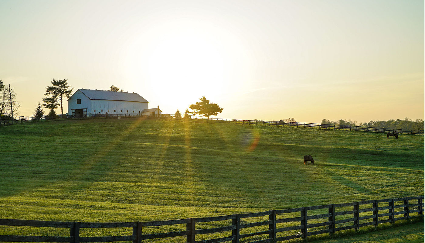 Farm & Ranch Soil Erosion Restoration & Repair – Texoma Excavation & Construction – Texomaland & North Texas Farm & Ranch Soil Erosion Restoration & Repair - Texoma Excavation & Construction – Texomaland & North Texas