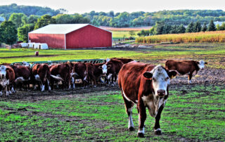 Farm & Ranch Soil Erosion Overgrazing Risk - Texoma Excavation & Construction – Texomaland & North Texas