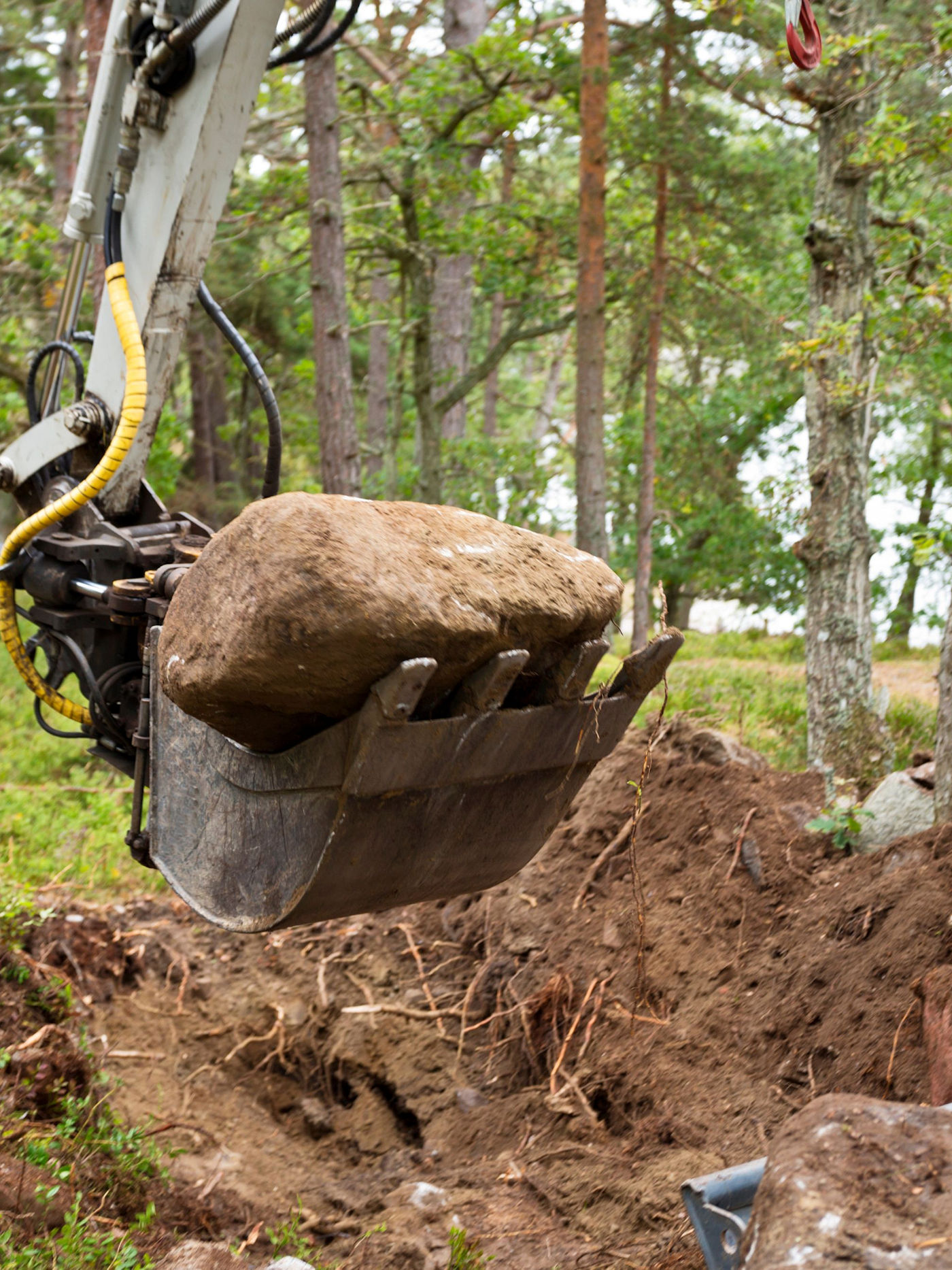 Septic Tanks & Septic Systems from Texoma Excavation & Construction in Sherman Texas Septic Tanks & Septic Systems from Texoma Excavation & Construction in Sherman Texas