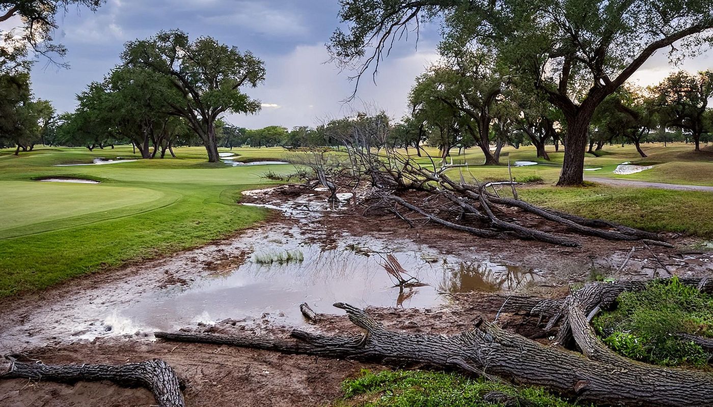 Reasons for Tree and Branch Removal for Commercial Properties - Texoma Excavation & Construction