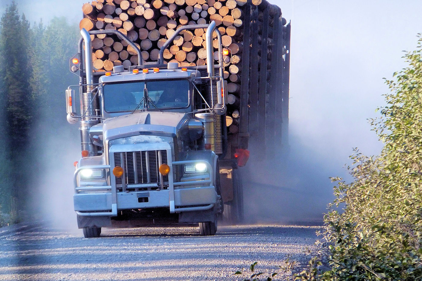 Gravel Road Construction: Forest, Wooded, or Remote Areas- Texoma Excavation & Construction